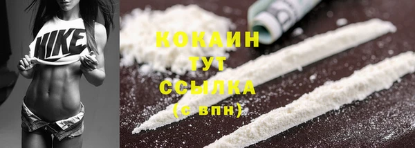 гидра Вязники