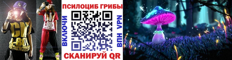 shop клад Жиздра Галлюциногенные грибы мицелий
